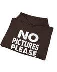 NO PICTURES PLEASE Hoodie Sweatshirt - Vintage Distressed Block Letter Design