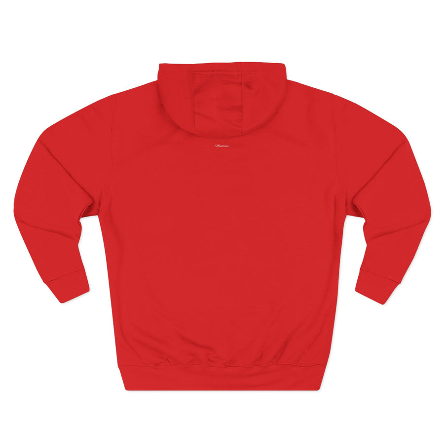 Cozy Three-Panel Fleece Hoodie for All Seasons, Unisex Graphic Sweatshirt, Casual Layering, Gifting for Friends & Family