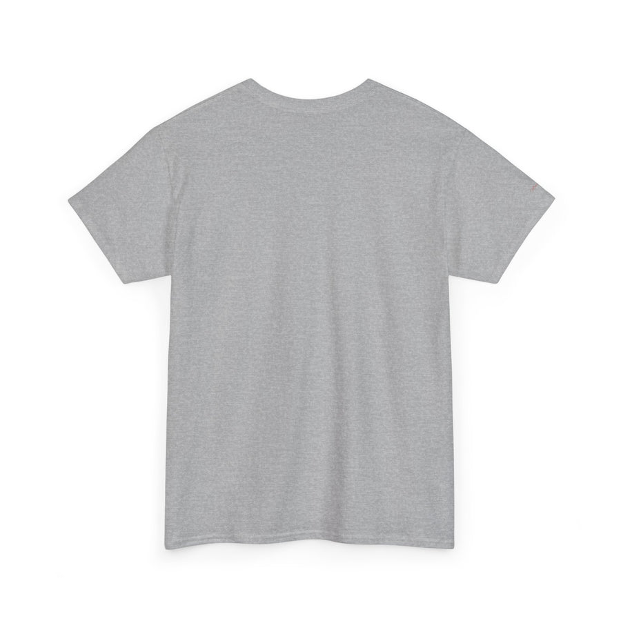 Unisex Heavy Cotton Tee - 'Take Me To Mountains' Adventure Shirt, Outdoor Lover Tee, Nature Vibes T-Shirt, Travel Gift Idea, Hiking Apparel