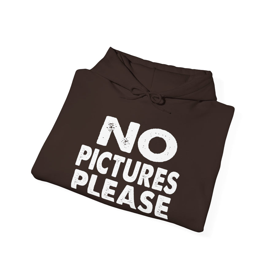 NO PICTURES PLEASE Hoodie Sweatshirt - Vintage Distressed Block Letter Design