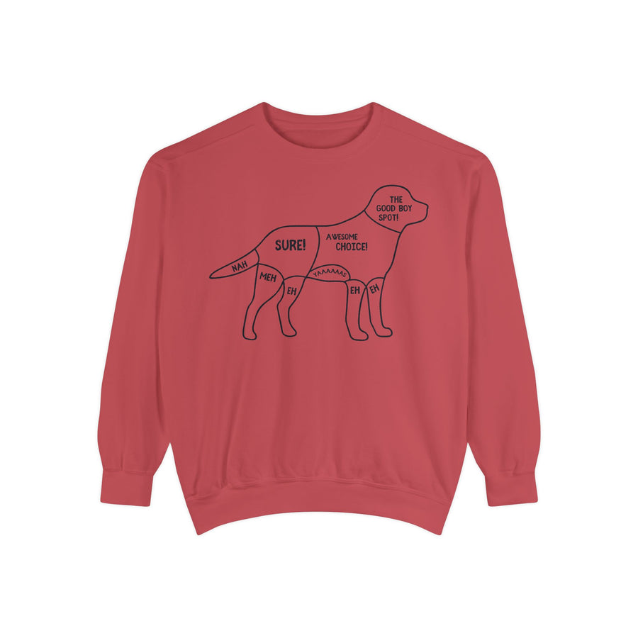 Pet Anatomy Sweatshirt, Unisex Cozy Top, Dog Lover Gift, Funny Animal Apparel, Casual Sweatshirt, Gift for Dog Owners