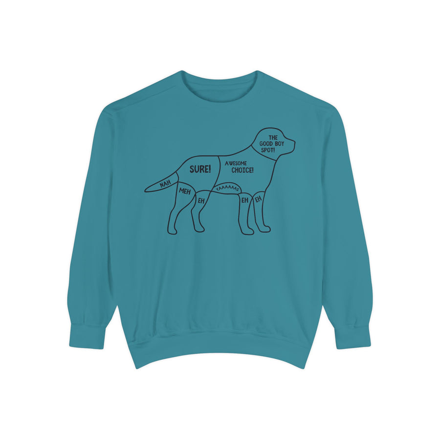 Pet Anatomy Sweatshirt, Unisex Cozy Top, Dog Lover Gift, Funny Animal Apparel, Casual Sweatshirt, Gift for Dog Owners