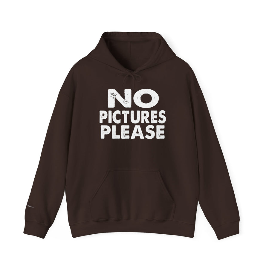 NO PICTURES PLEASE Hoodie Sweatshirt - Vintage Distressed Block Letter Design