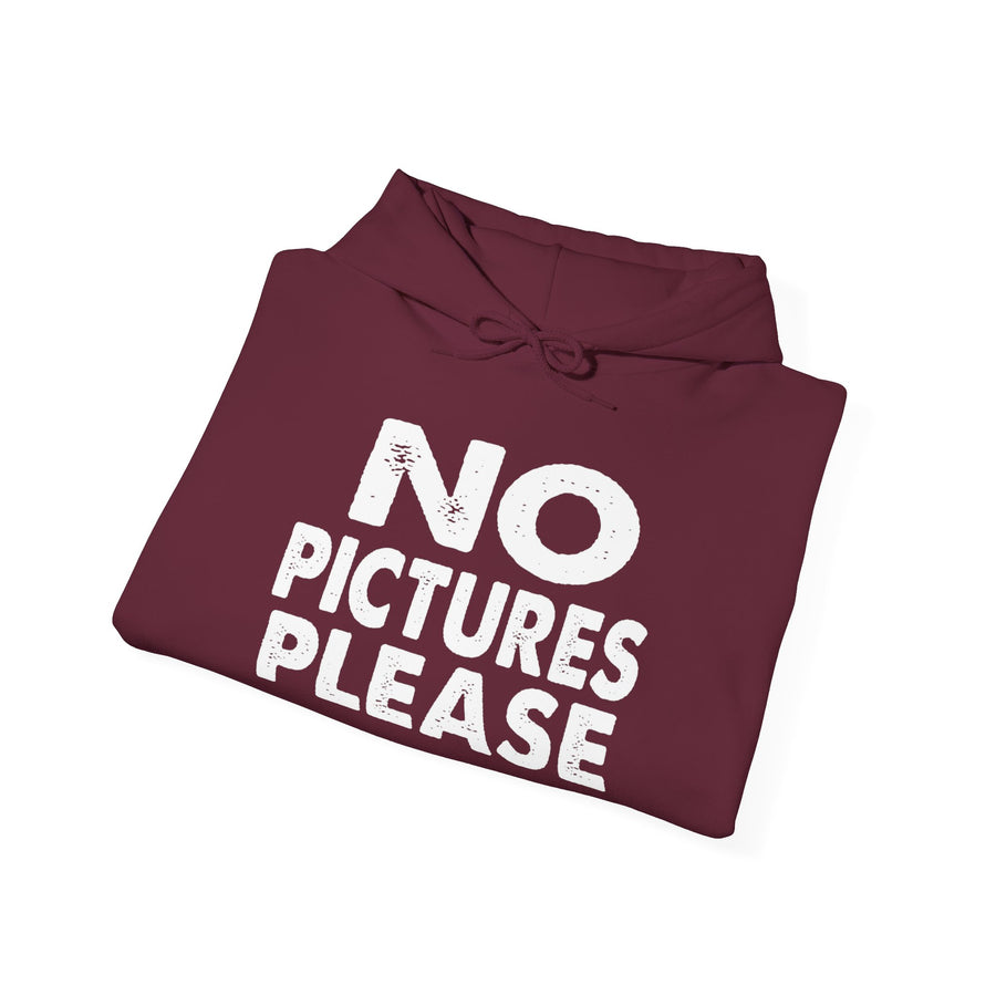 NO PICTURES PLEASE Hoodie Sweatshirt - Vintage Distressed Block Letter Design
