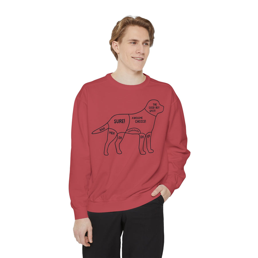 Pet Anatomy Sweatshirt, Unisex Cozy Top, Dog Lover Gift, Funny Animal Apparel, Casual Sweatshirt, Gift for Dog Owners